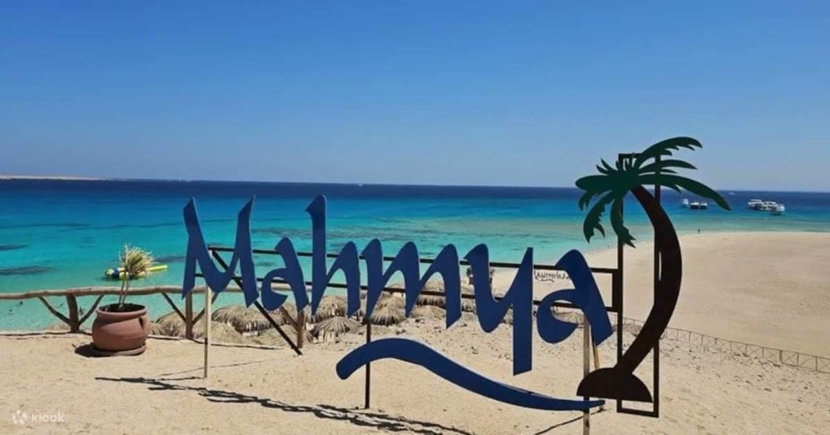 لافتة مهميا ونخلة على شاطئ الجزيرة